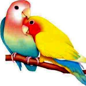 Meet your Posher, Lorraine